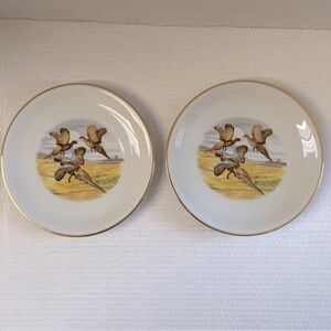 Vintage Zeh Scherzer Bavarian Porcelain Plates (Set of 2) - Pheasants in Flight